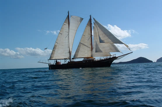 Isla negra