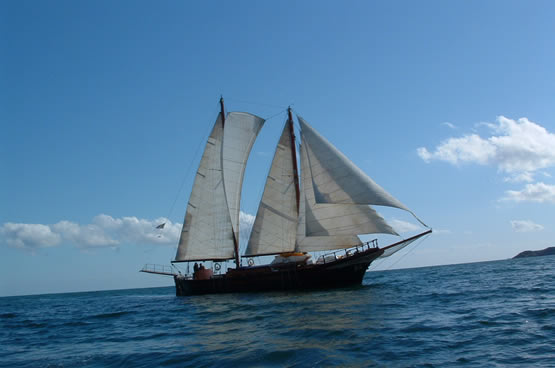 Isla negra