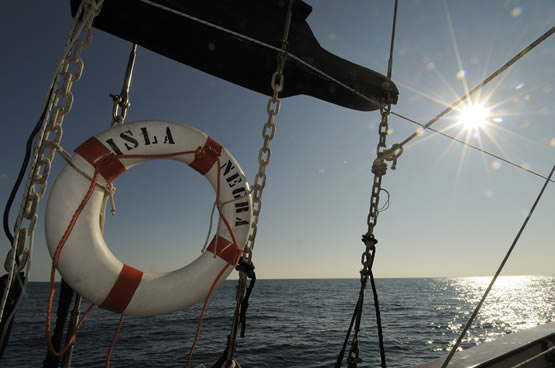 Isla negra