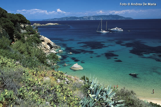 Isla negra