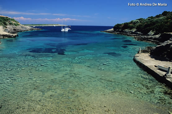 Isla negra