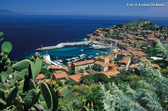 crociere isola del giglio