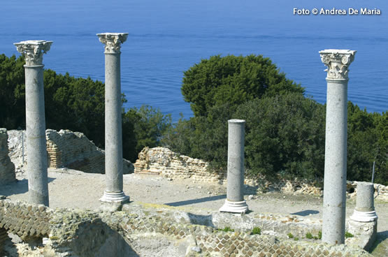 WEEK END/WEEK Island of Giglio and Island of Giannutri